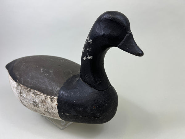 Dipper Ortley Brant, Circa 1950's (#3029)