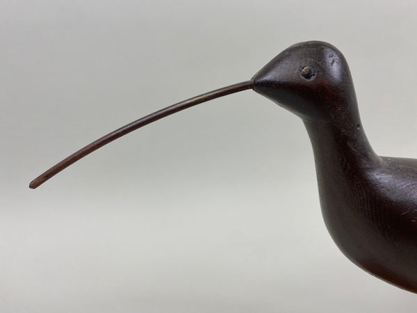 Curlew Shorebird (#1709)