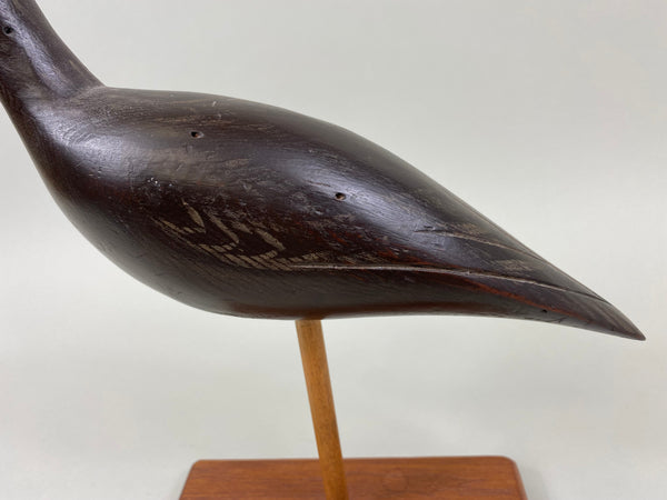 Curlew Shorebird (#1709)