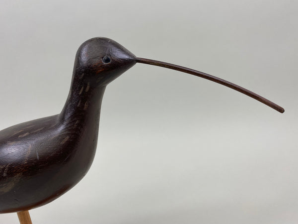 Curlew Shorebird (#1709)