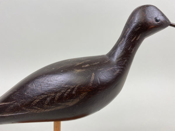 Curlew Shorebird (#1709)