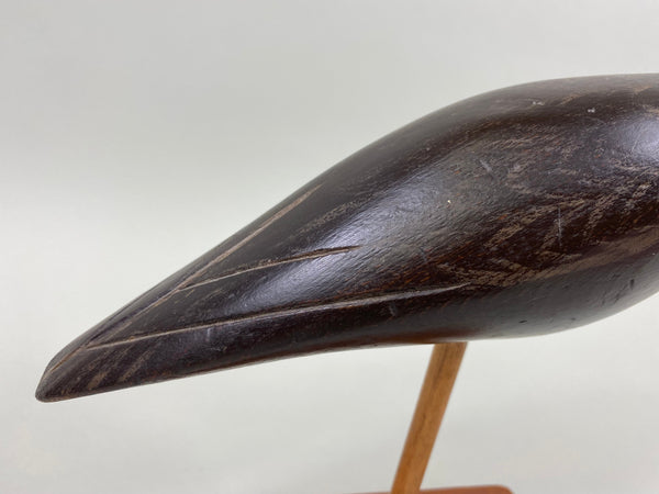 Curlew Shorebird (#1709)