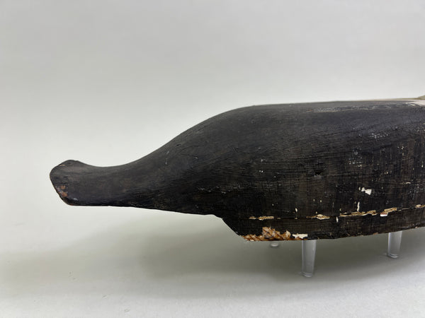 Cape Vincent Golden Eye Drake, Circa 1900 (#5251)