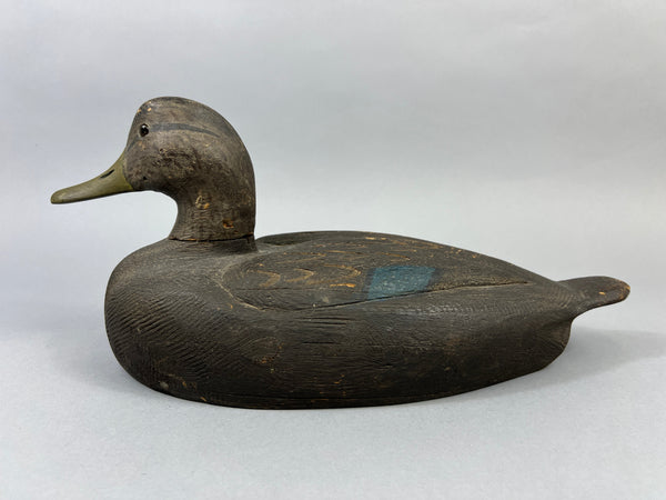 Michigan Black Duck Schmidt influence (#4771)