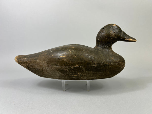 Peterson Canvasback, Circa 1900's (#1075)