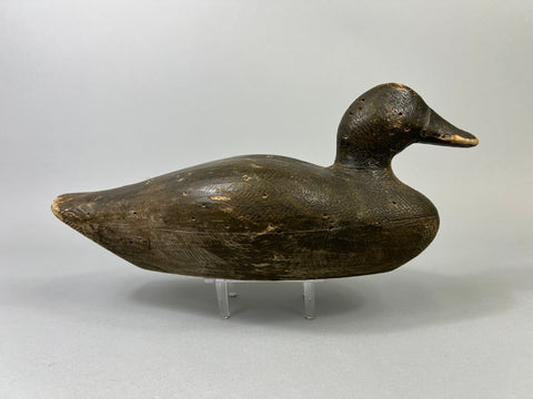 Peterson Canvasback, Circa 1900's (#1075)