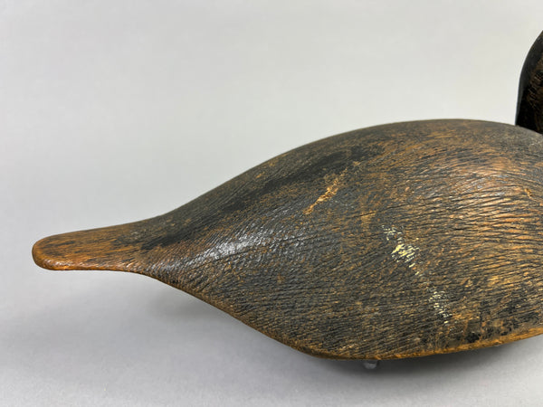 Unknown Canadian Blue Bill Drake (#5226)