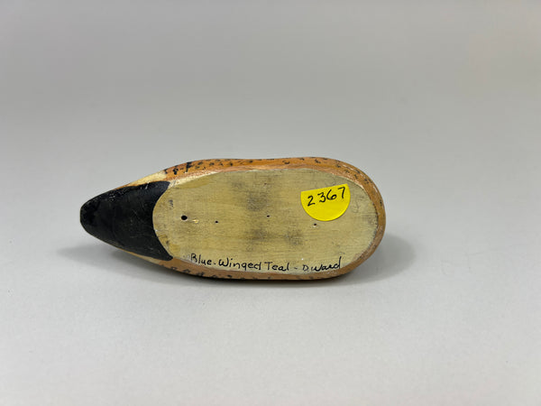 D. Ward Third Size Blue Wing Teal (#2367)