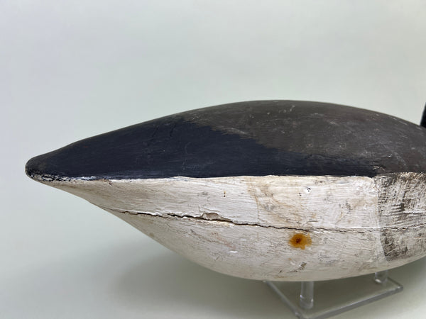 Dipper Ortley Brant, Circa 1950's (#3029)