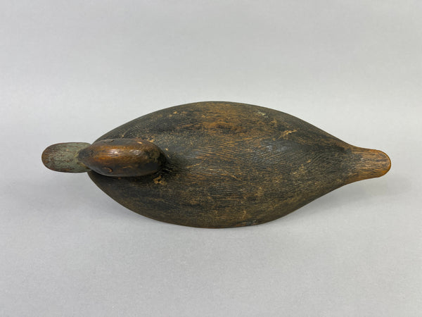 Unknown Canadian Blue Bill Drake (#5226)