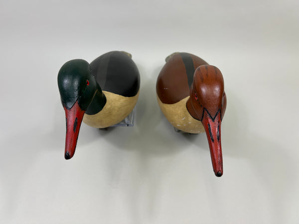 Pair of Swimming Common Mergansers (#5300)