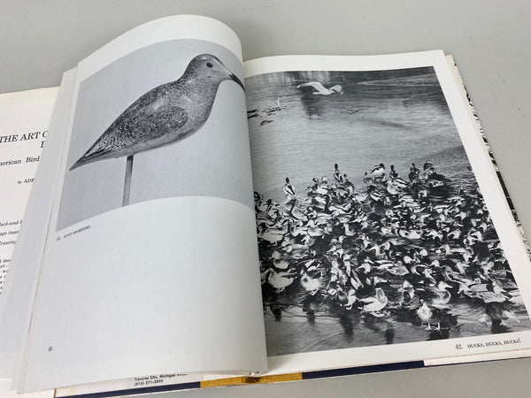 2 Books- American Bird Decoys & The Art of the Decoy