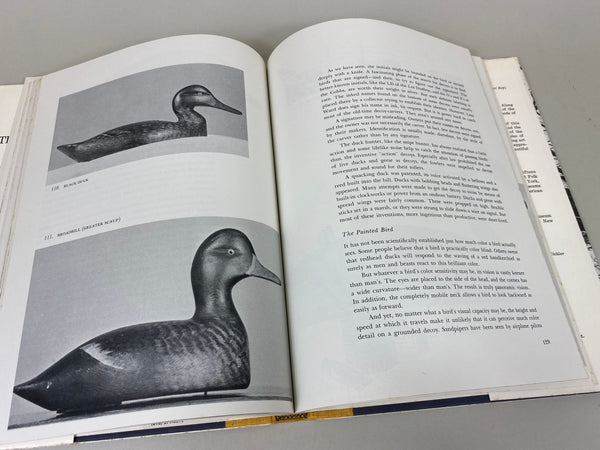 2 Books- American Bird Decoys & The Art of the Decoy