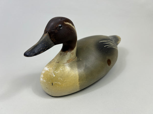 Wildfowler Pintail Drake, Old Saybrook, Rare Pine (#4248)