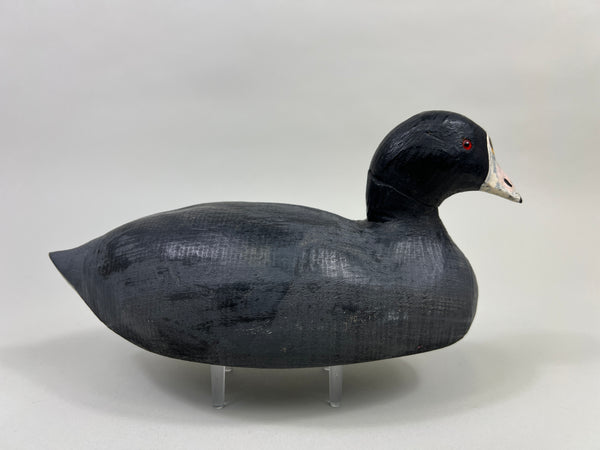 Herters 1893 Series Coot Branded (#2934)