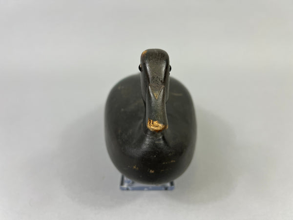 Unknown Teal, Weighted, Original Paint (#4406)