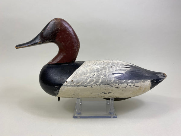 Jessi Urie Canvasback Drake (#2175)