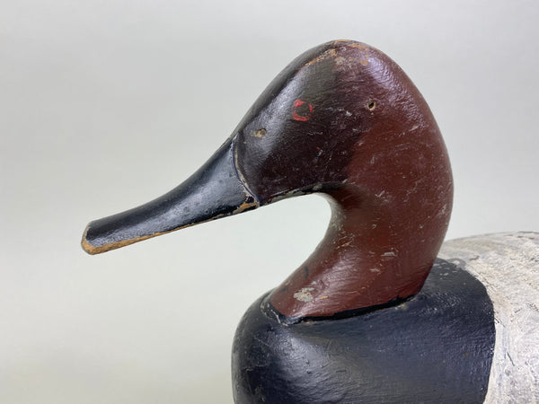 Jessi Urie Canvasback Drake (#2175)