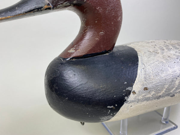 Jessi Urie Canvasback Drake (#2175)