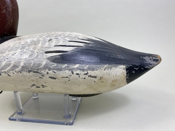 Jessi Urie Canvasback Drake (#2175)