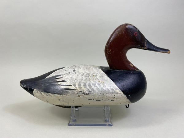 Jessi Urie Canvasback Drake (#2175)