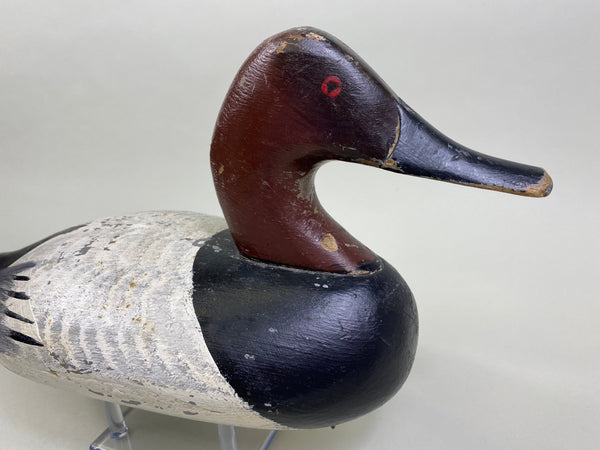 Jessi Urie Canvasback Drake (#2175)
