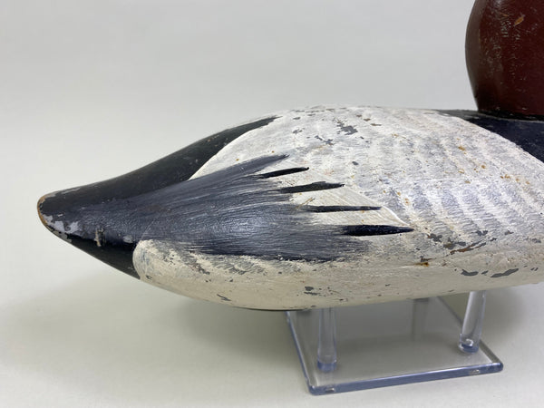 Jessi Urie Canvasback Drake (#2175)