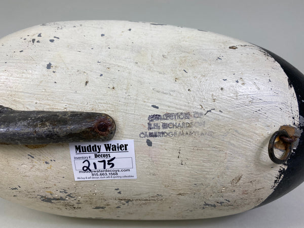 Jessi Urie Canvasback Drake (#2175)