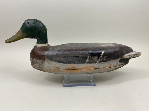 Illinois River Mallard Drake (#2176)