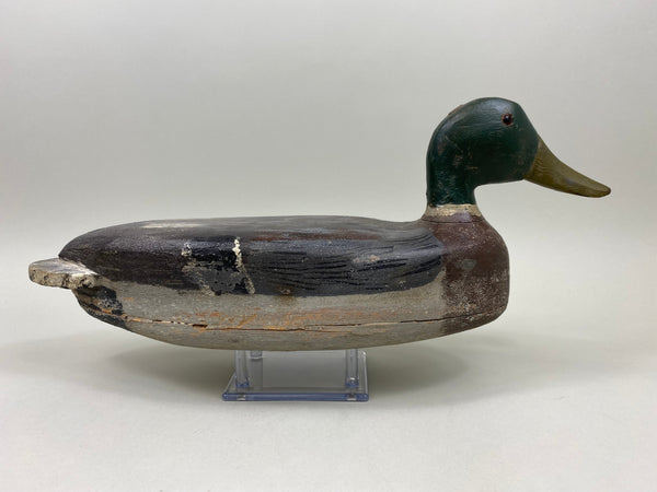 Illinois River Mallard Drake (#2176)