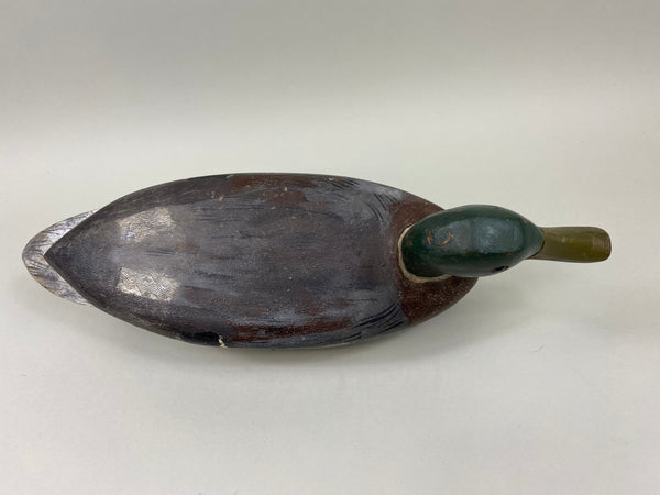 Illinois River Mallard Drake (#2176)