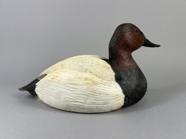 Donna Tonelli Hand Carved Canvasback Drake (#9275)