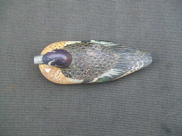 D. Ward Third Size Blue Wing Teal (#2367)