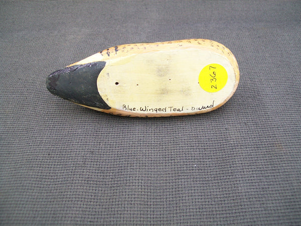 D. Ward Third Size Blue Wing Teal (#2367)
