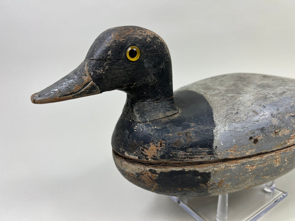 Illinois River Hollow Blue Bill, Circa 1920's (#4034)