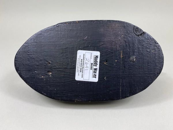 Unknown Coot (#2641)