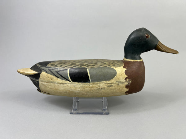 Roy Hancock Mallard Drake (#8485)