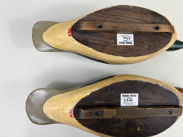 Pair of Swimming Common Mergansers (#5300)