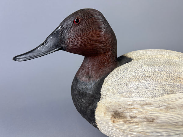 Donna Tonelli Hand Carved Canvasback Drake (#9275)