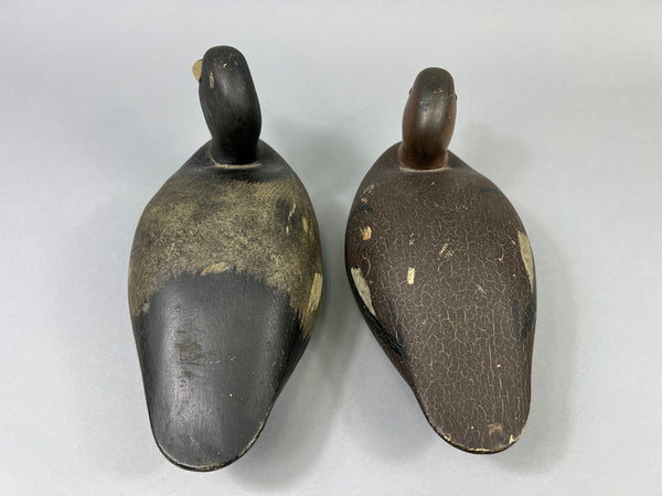 Keyes Chadwick Pair of Bluebills, Original Paint (#4847)