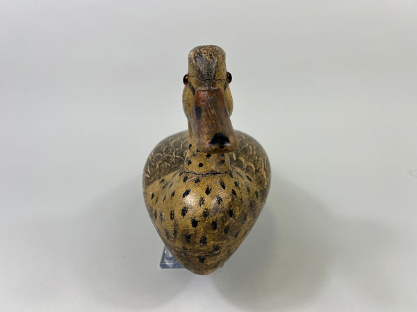 Otto Garren Mallard Hen (#8736)