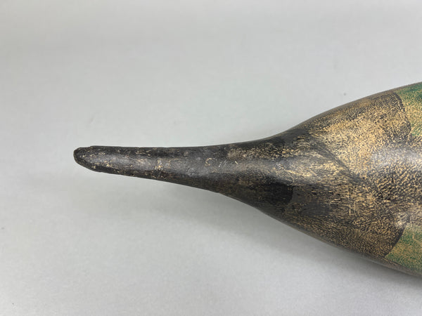 California Pintail (#4937)