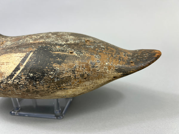 Tule Lake Attributed Wigeon Drake (4894)