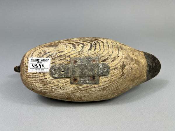 Tule Lake Attributed Wigeon Drake (4894)