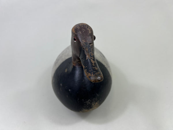 John R. Wells Canvasback Drake, Circa 1920's (#4703)