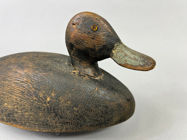 Unknown Canadian Blue Bill Drake (#5226)