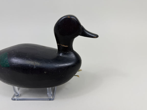 Michigan Area Blue-Wing Teal, Circa 1930's (#4410)