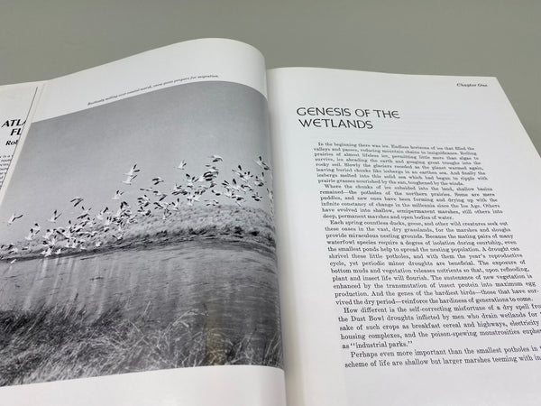 2 Books- Decoys of the Mississippi Flyway, and The Atlantic Flyway