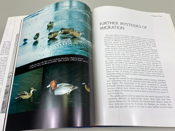 2 Books- Decoys of the Mississippi Flyway, and The Atlantic Flyway