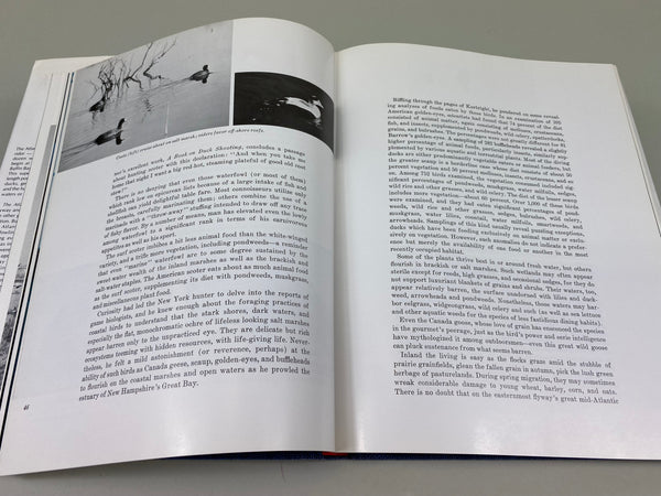 2 Books- Decoys of the Mississippi Flyway, and The Atlantic Flyway